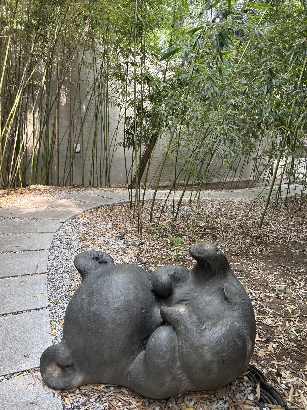 爱上了夏天和自己💙