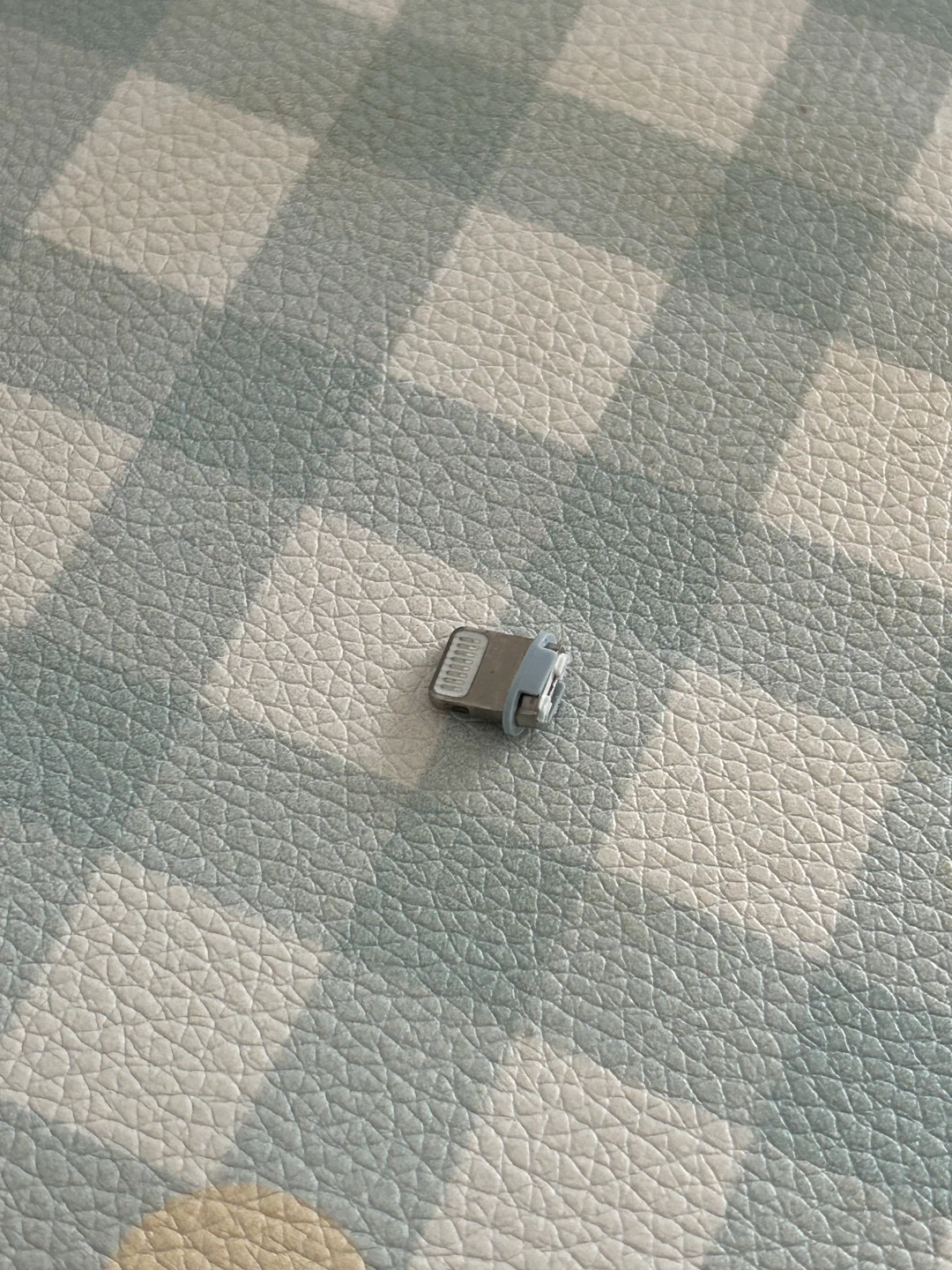 秋天的屋里你能不能体面一点