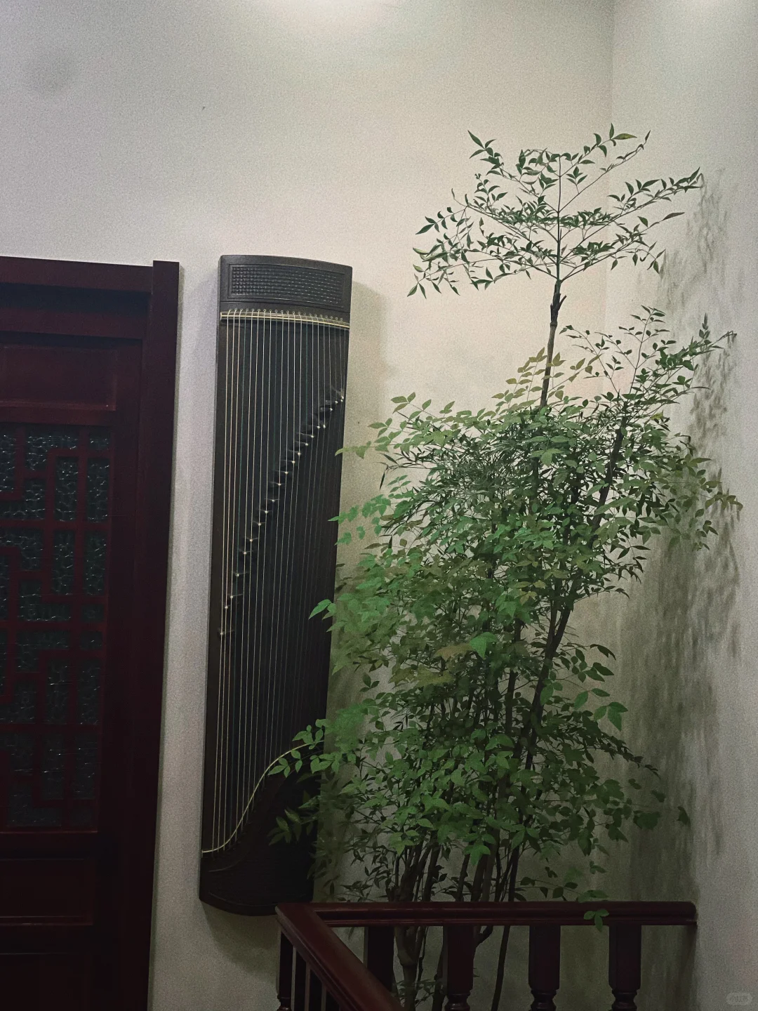 摩登红人来邯郸啦！