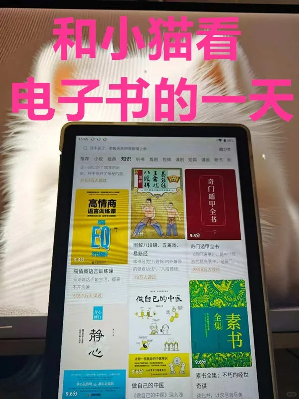 和小猫看电子书的一天
