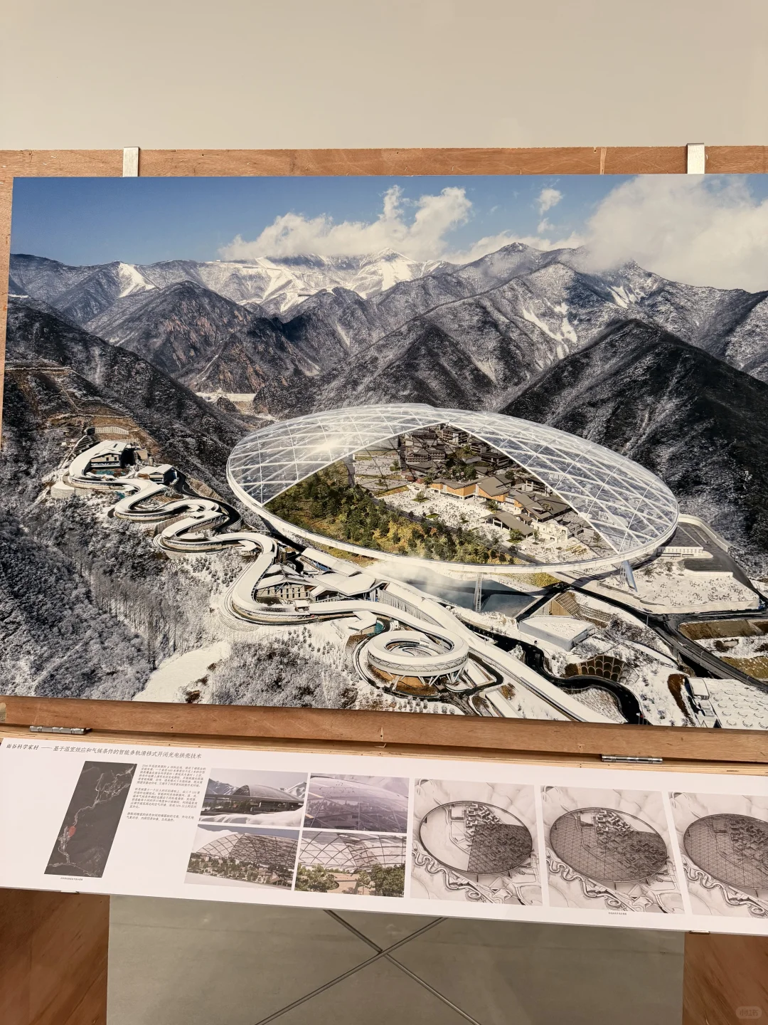 live图|肌肉女看展的一天