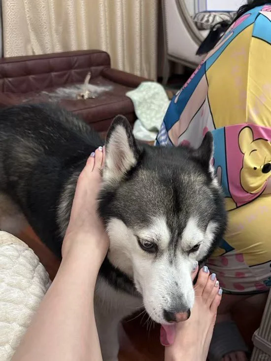 她足尖点过满地落英，惊起三两蝶影翩跹！