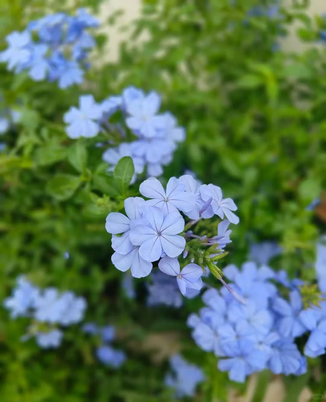 晒晒我们班的牛人