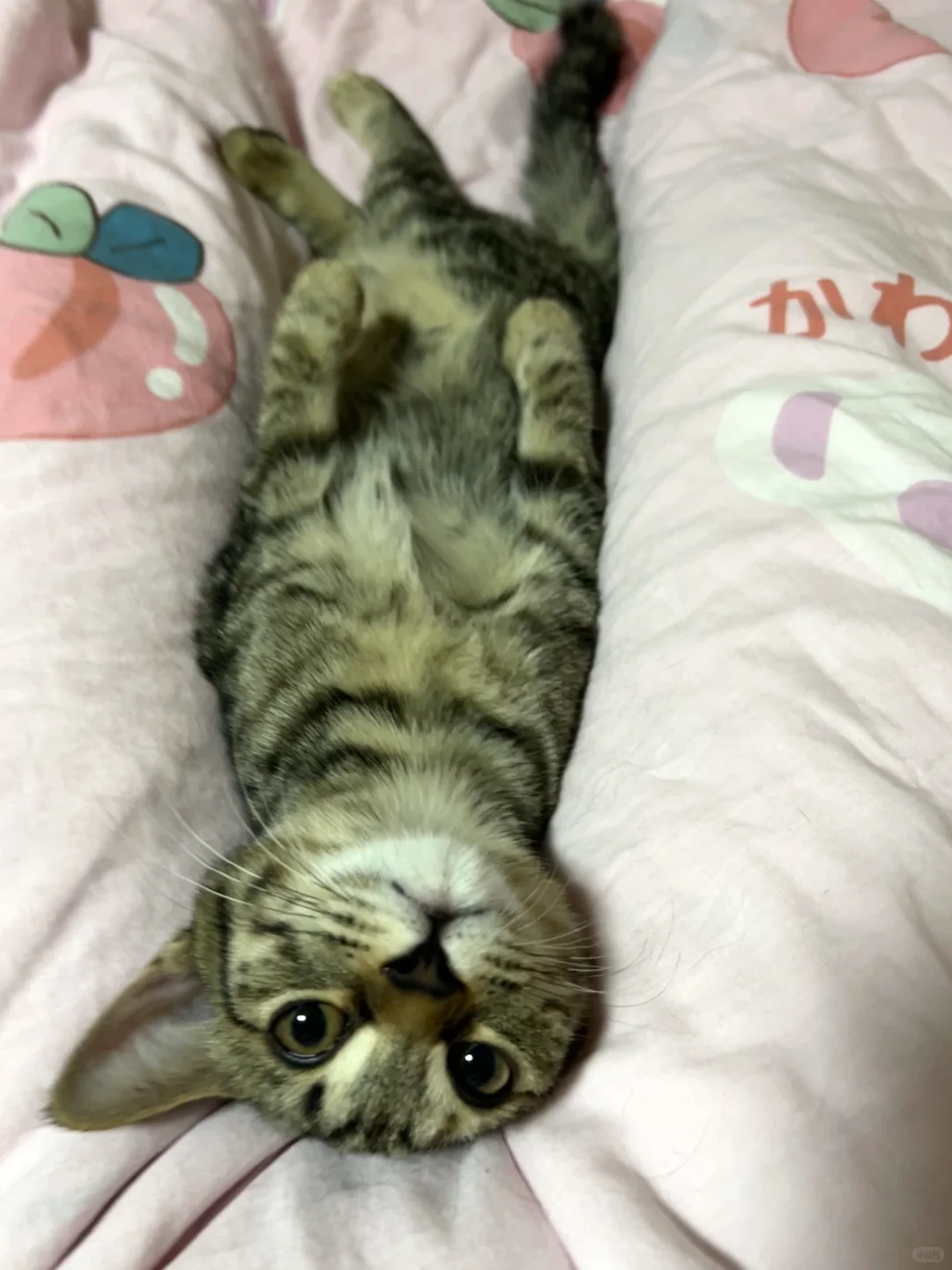 人，你来啦