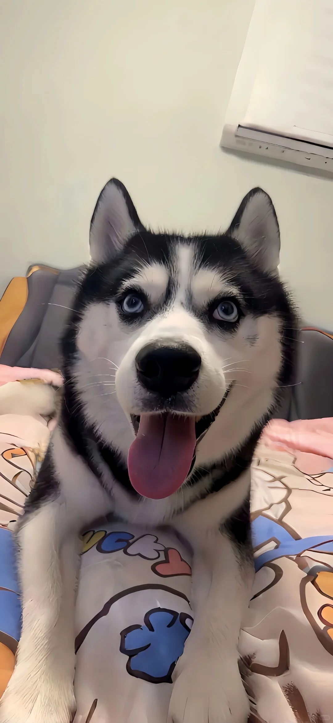 奈斯壁纸|iOS26 3D空间壁纸 动物篇