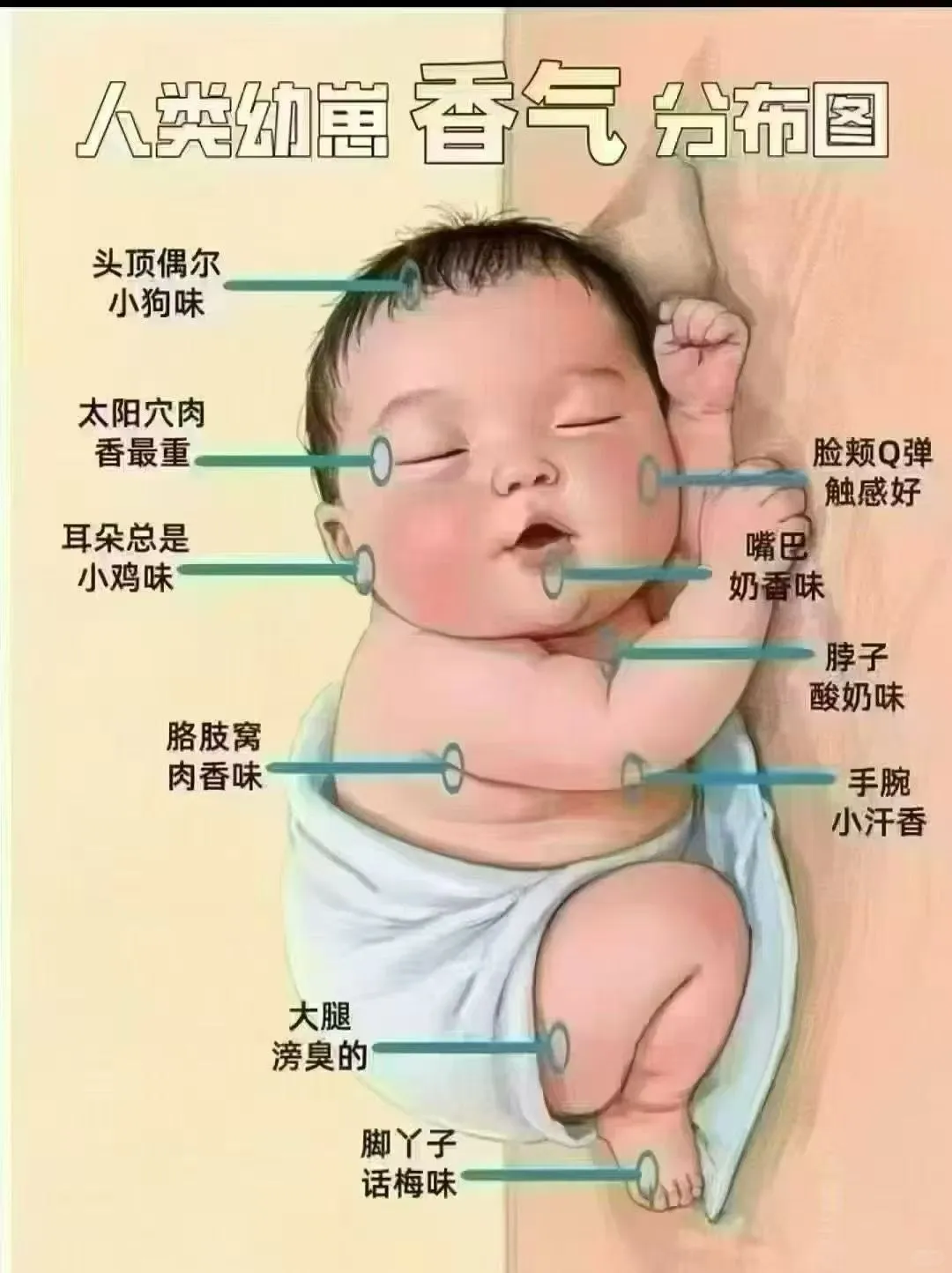 月子中心新鲜出炉的“美腿”😂😂😂