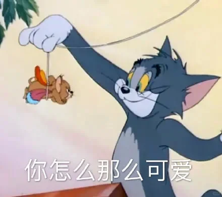 发现有好多优秀美好的女孩子考进了体制里呀