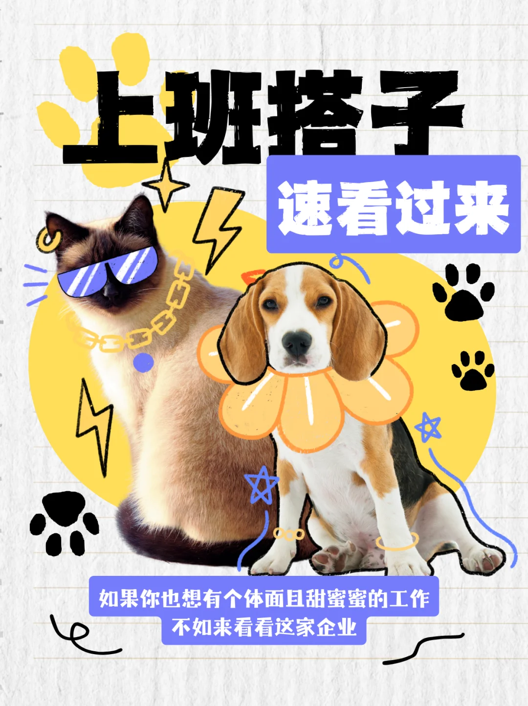 在德润森上班也太快乐了吧～🥳