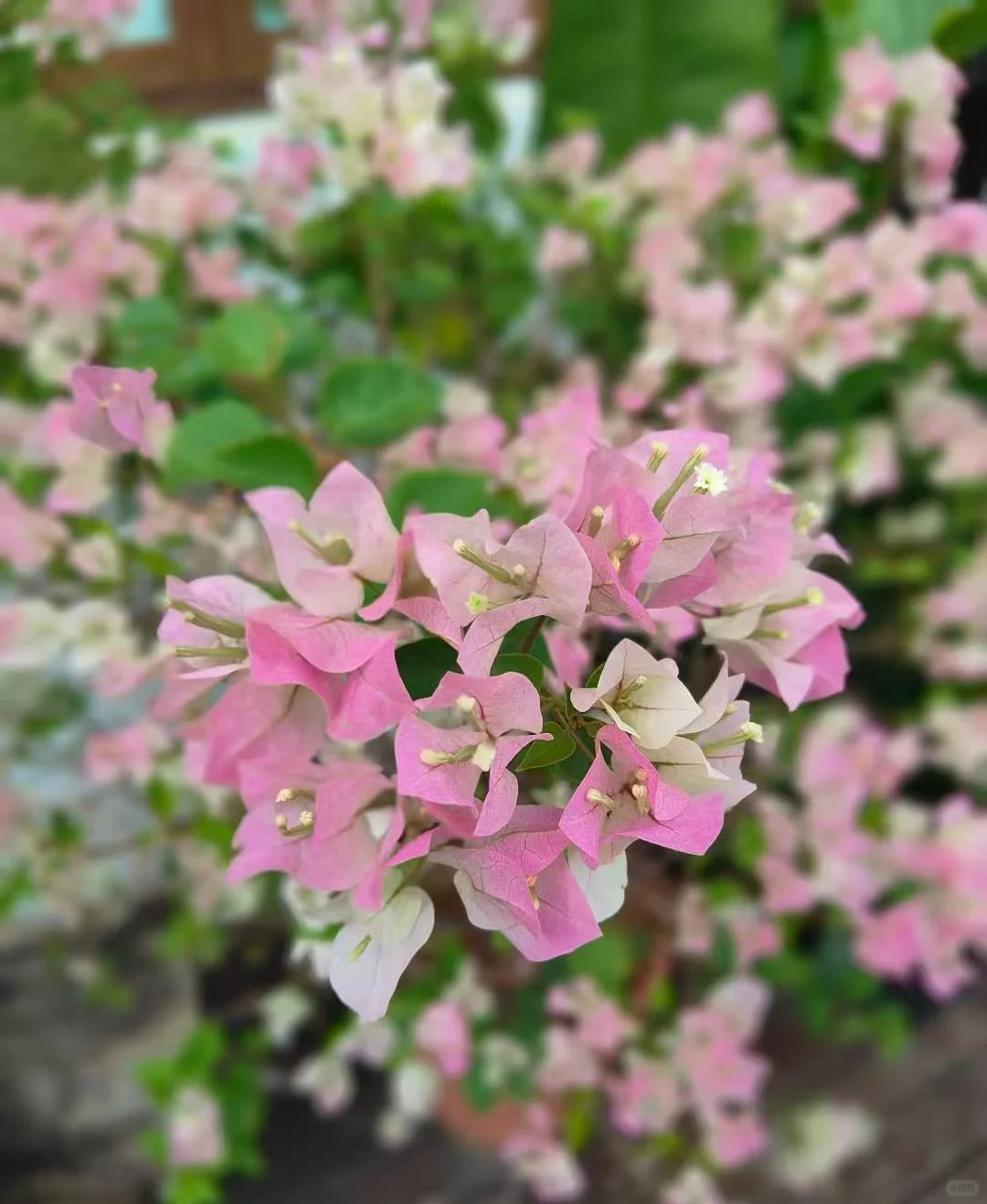 晒晒我们班的牛人