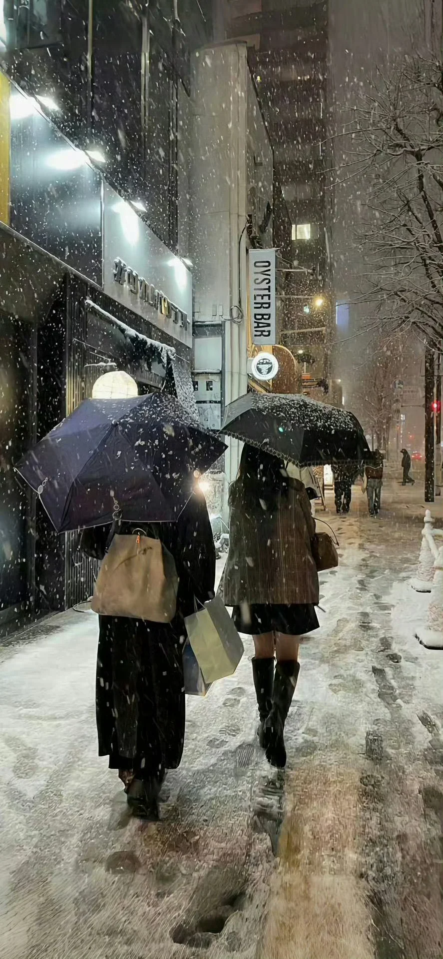 𝙎𝙝𝙖𝙧𝙚 适合下雪天用的壁纸❄️