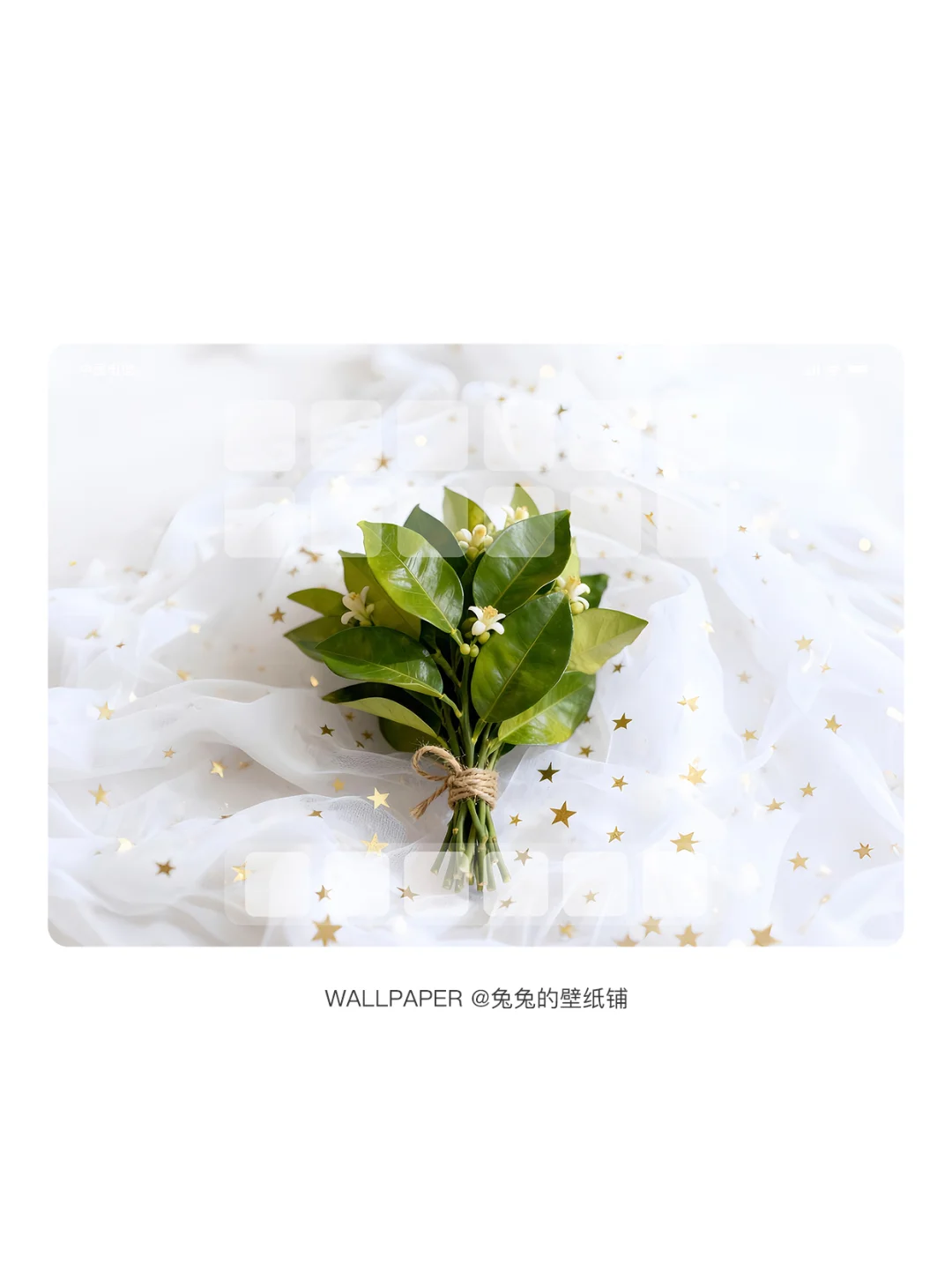 027 | 柚子叶去除晦气 | 平板壁纸