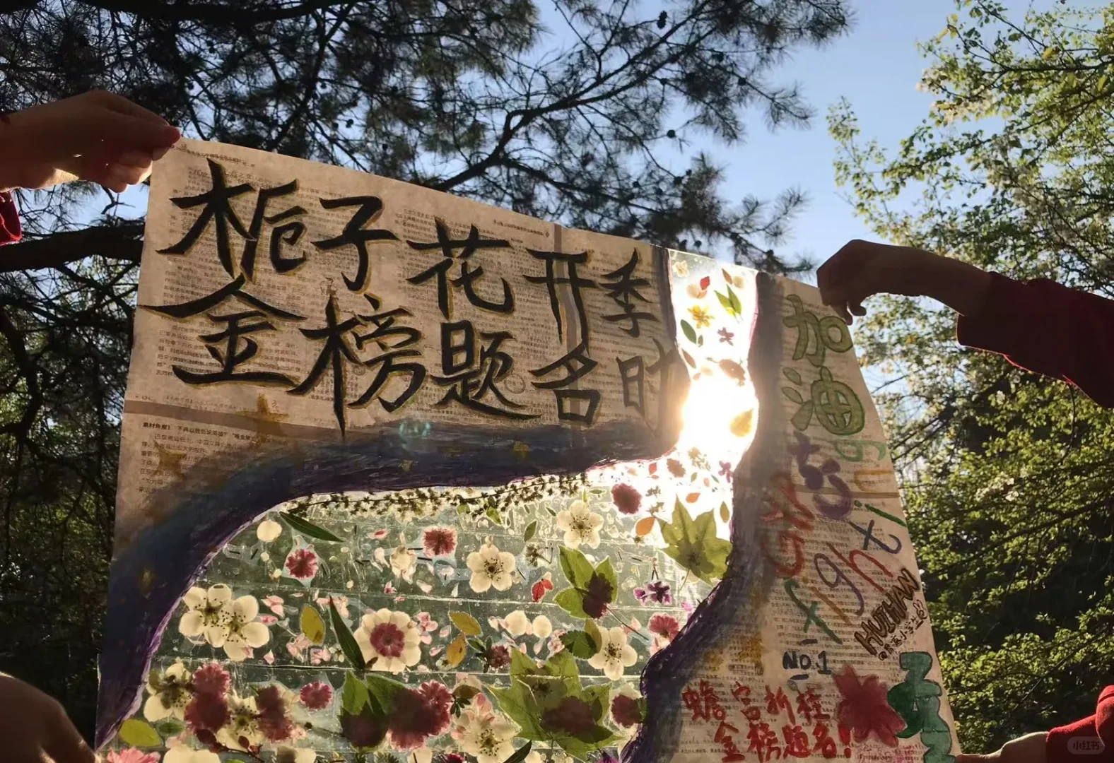 栀子花开时,金榜题名时