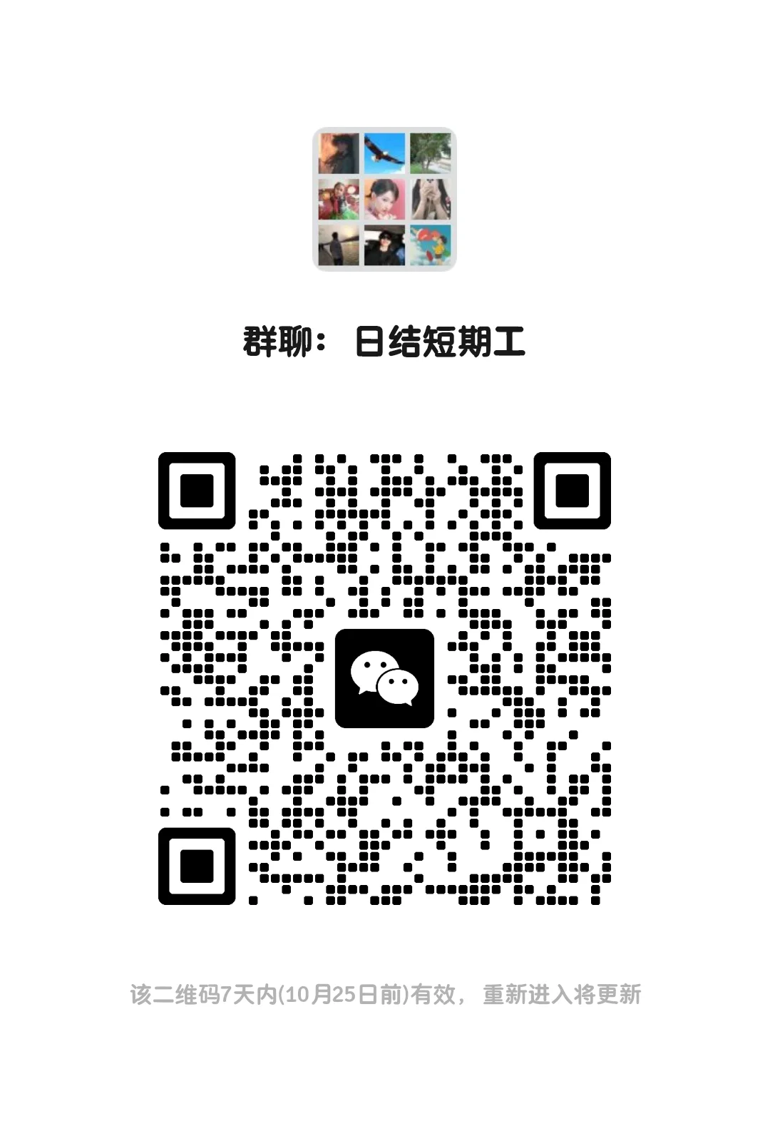 找工作进裙哦