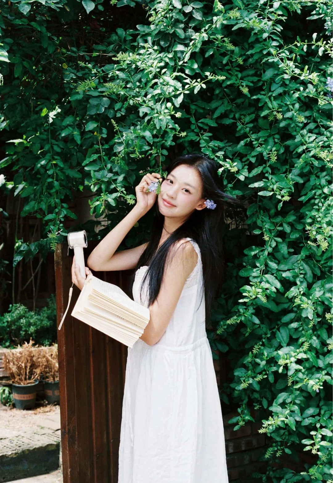 夏日少女 /•᷅•᷄\୭