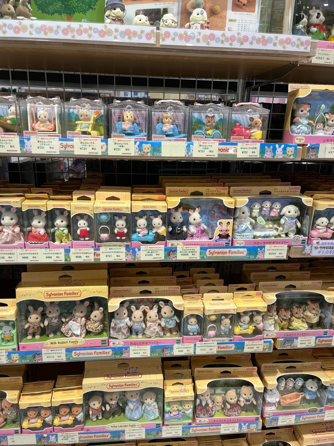 日本🇯🇵森被家族