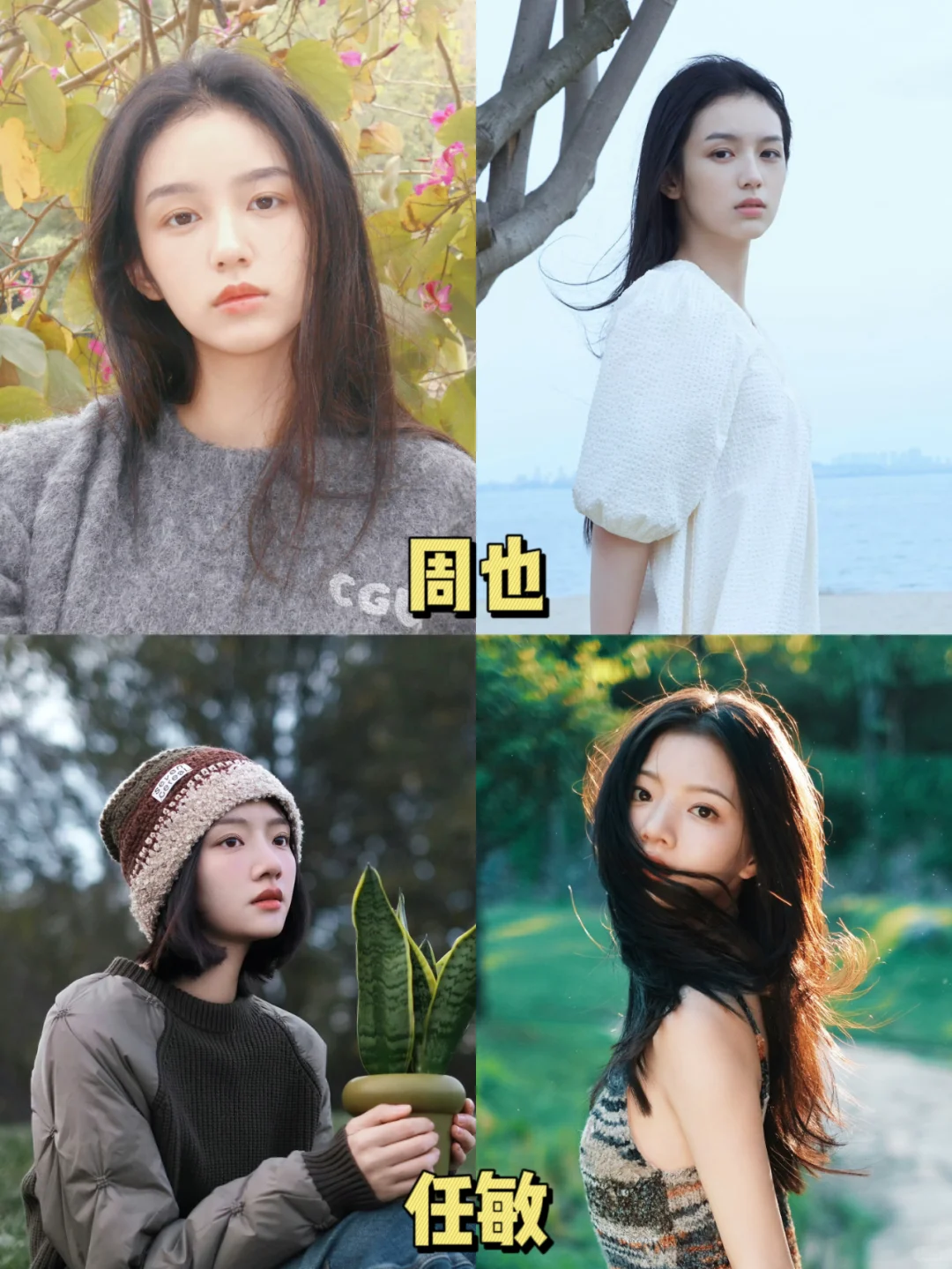 内娱自带清冷文艺感的小🌸