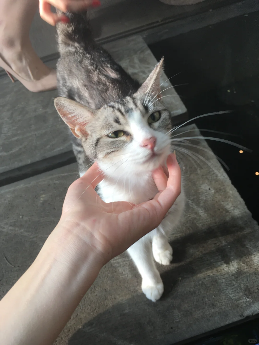 你的恶劣 任性 我早就和你的眉眼一同爱过