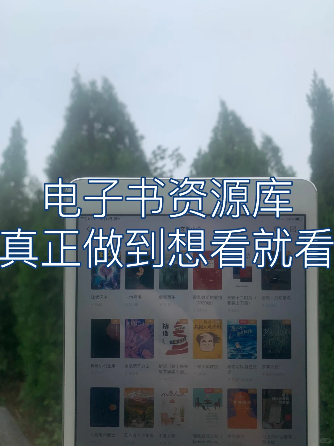 你的全能数字书房，百万好书随心读
