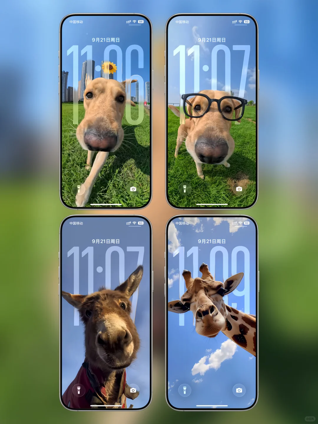 奈斯壁纸|iOS26 3D空间壁纸 动物篇