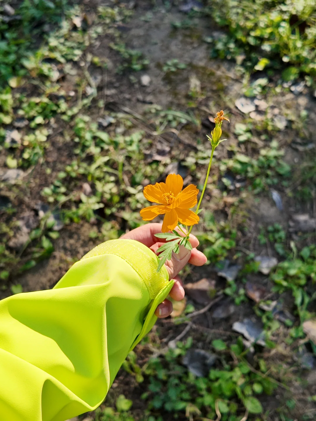 徒步女孩的野生美|长期户外只会让我更坚定