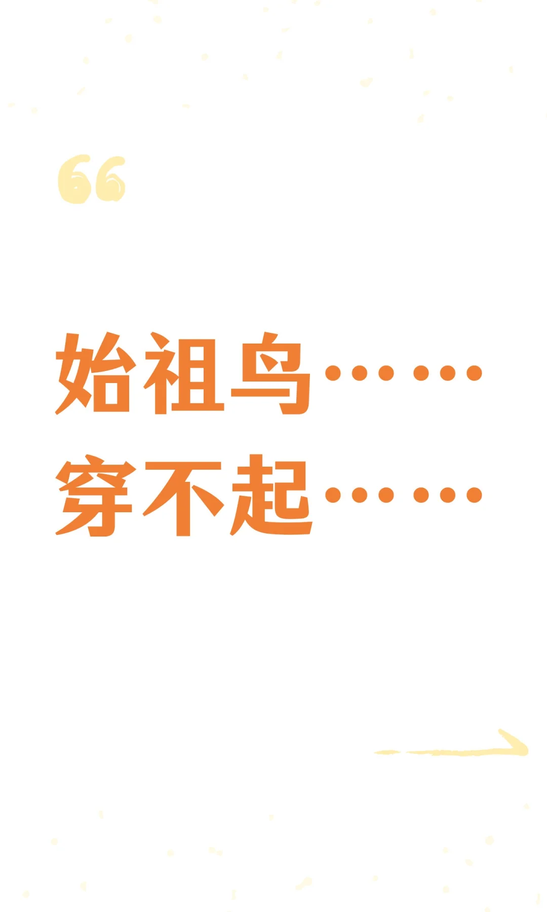 行了，本来始祖鸟穿不起，现在不用穿了