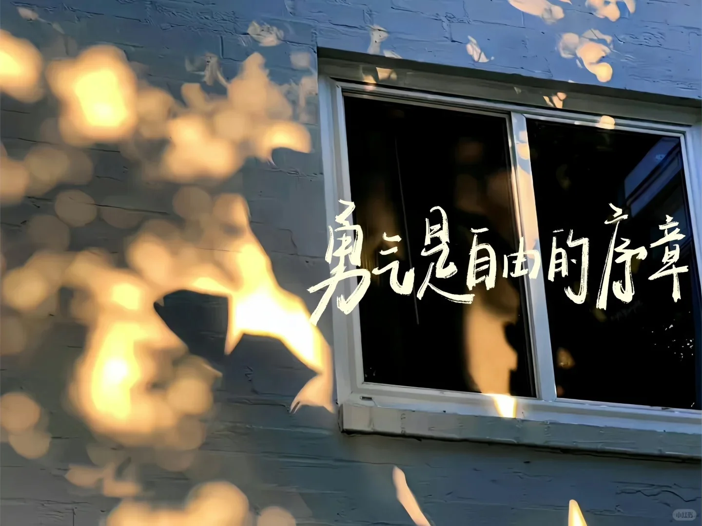 学习励志iPad电脑壁纸1️⃣