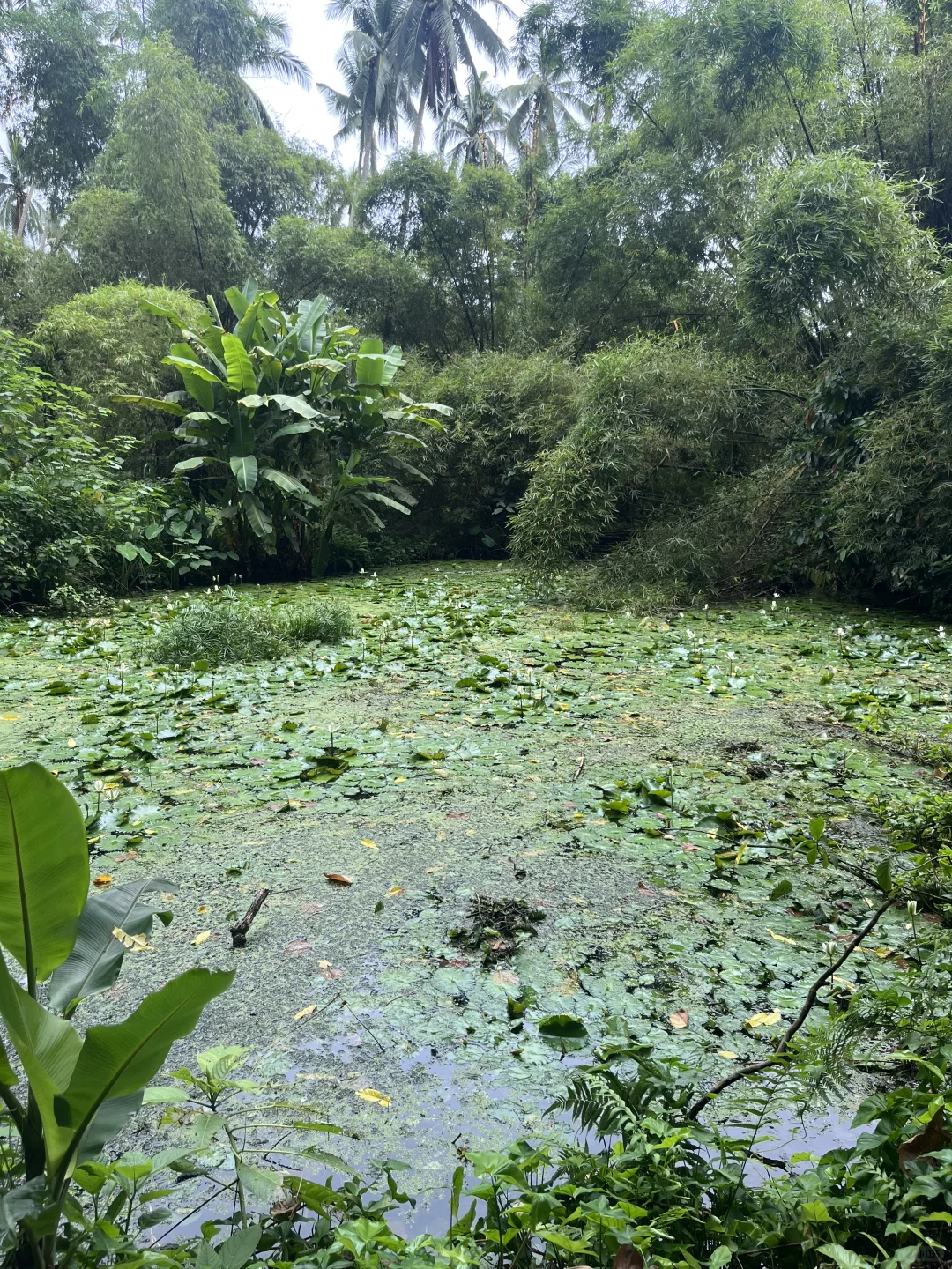 记录 45 老阿姨的外派生活,周末泡温泉去啦