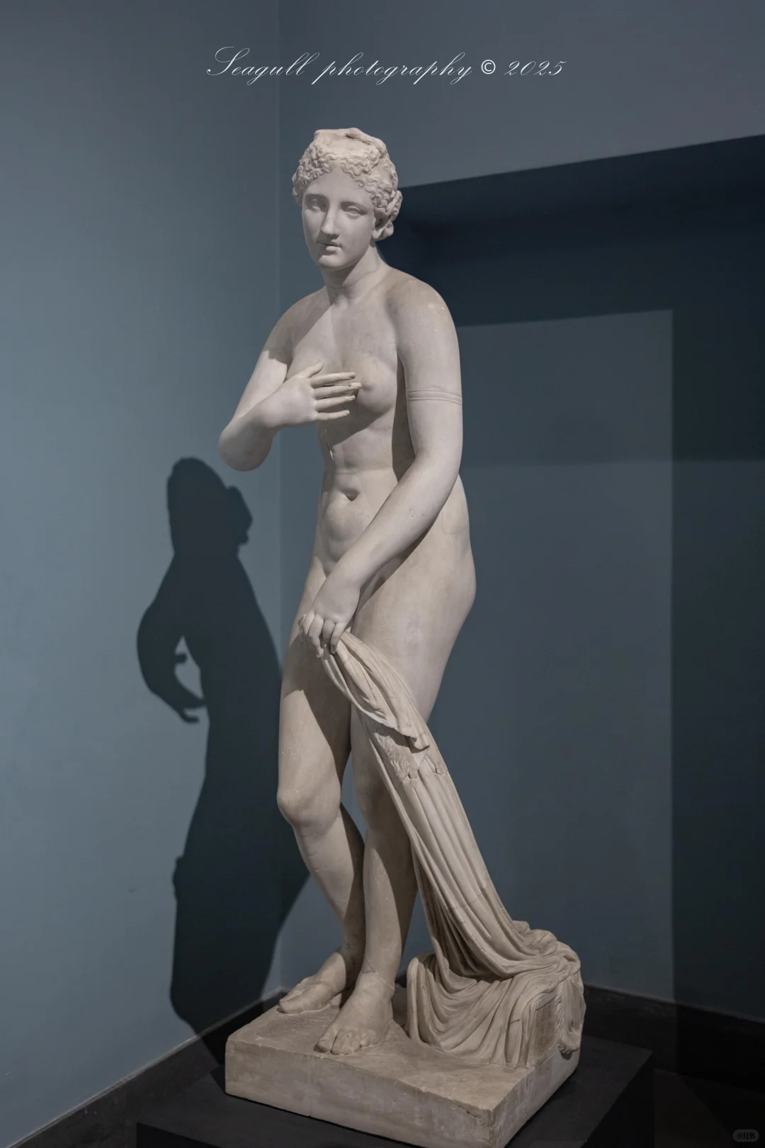 罗马的维纳斯浓度同样很高