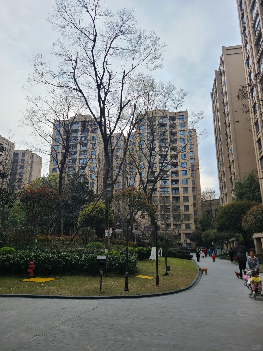 消失的森宇集团和散在角落的海棠湾