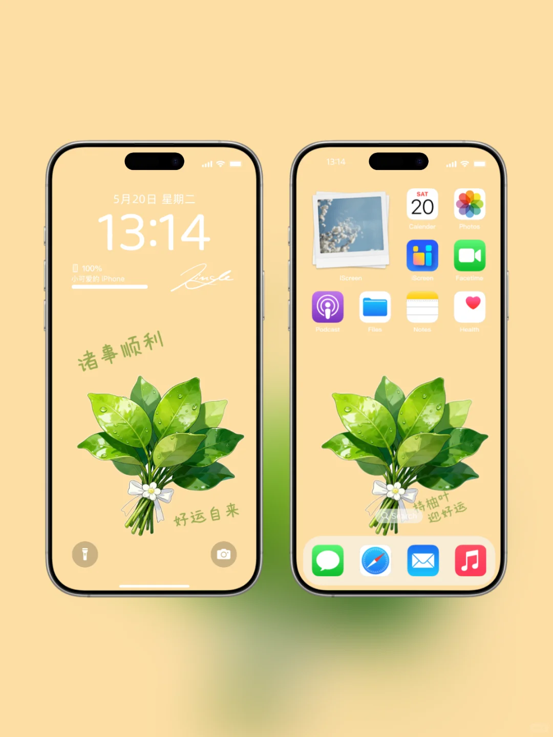 持柚叶，迎好运~