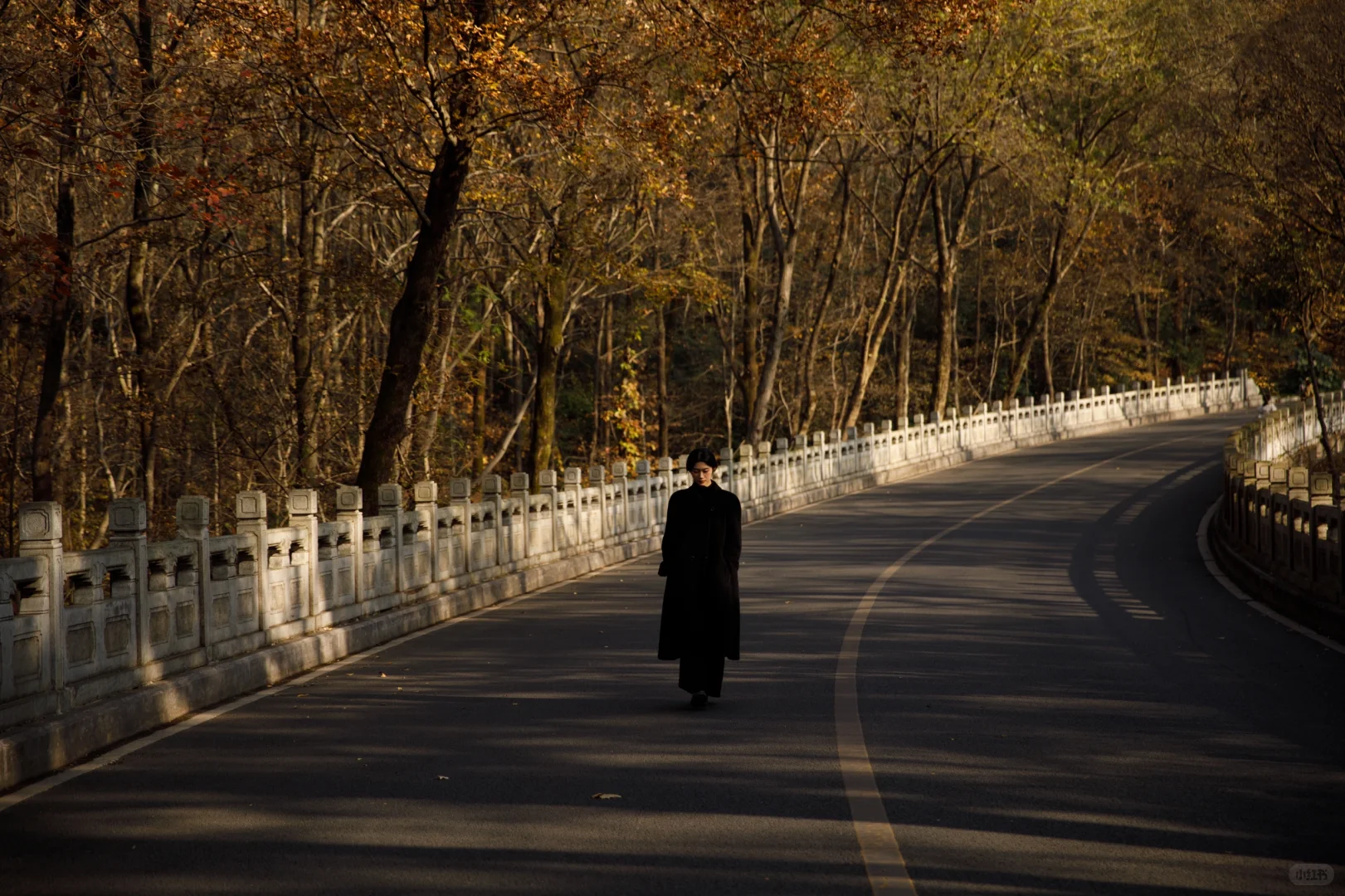 我拍出了像电影截图一样的秋日写真