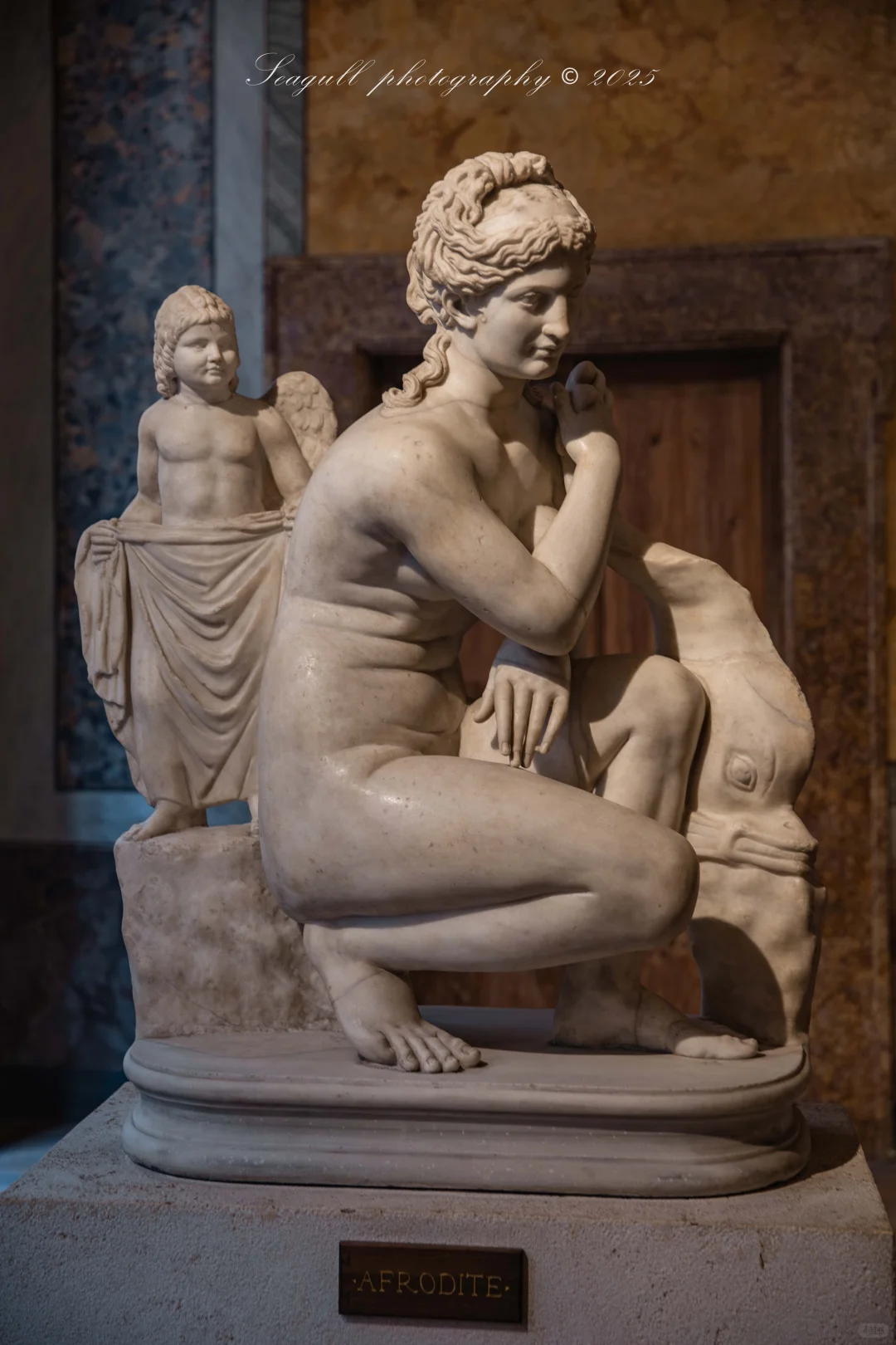 罗马的维纳斯浓度同样很高