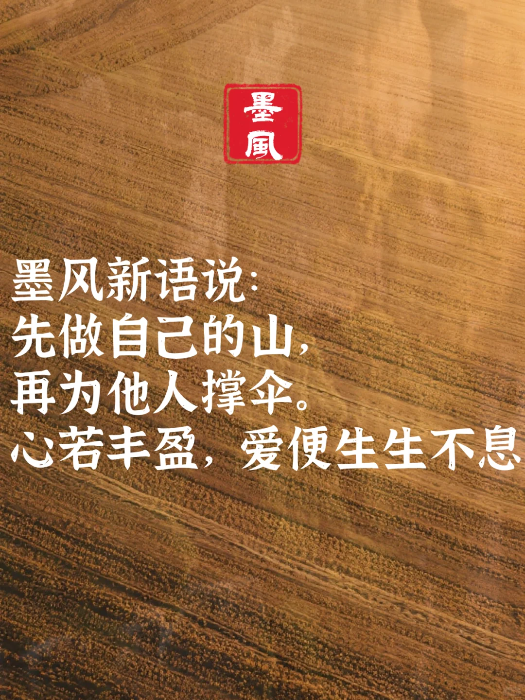 浅析已土的容貌与感情