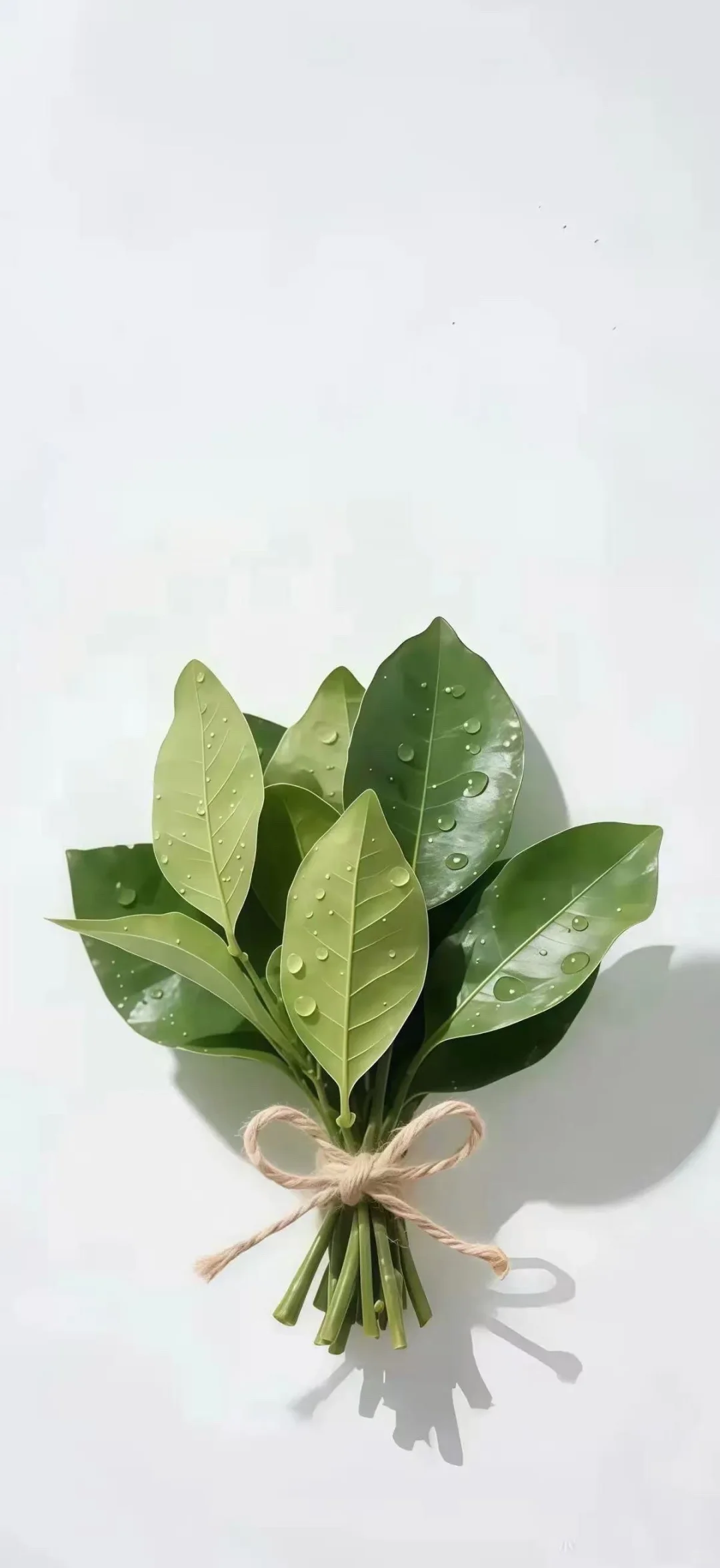 玄学来啦，露思同款柚子叶高清壁纸