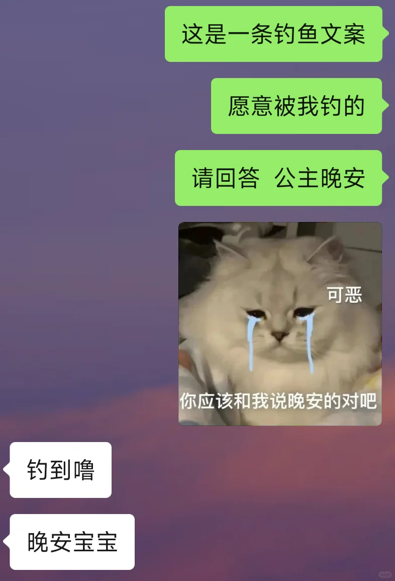 更适合暧昧期的聊天小套路~无广可食