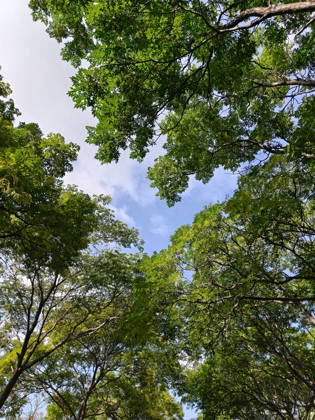 女博ootd|睁不开眼的周六😪