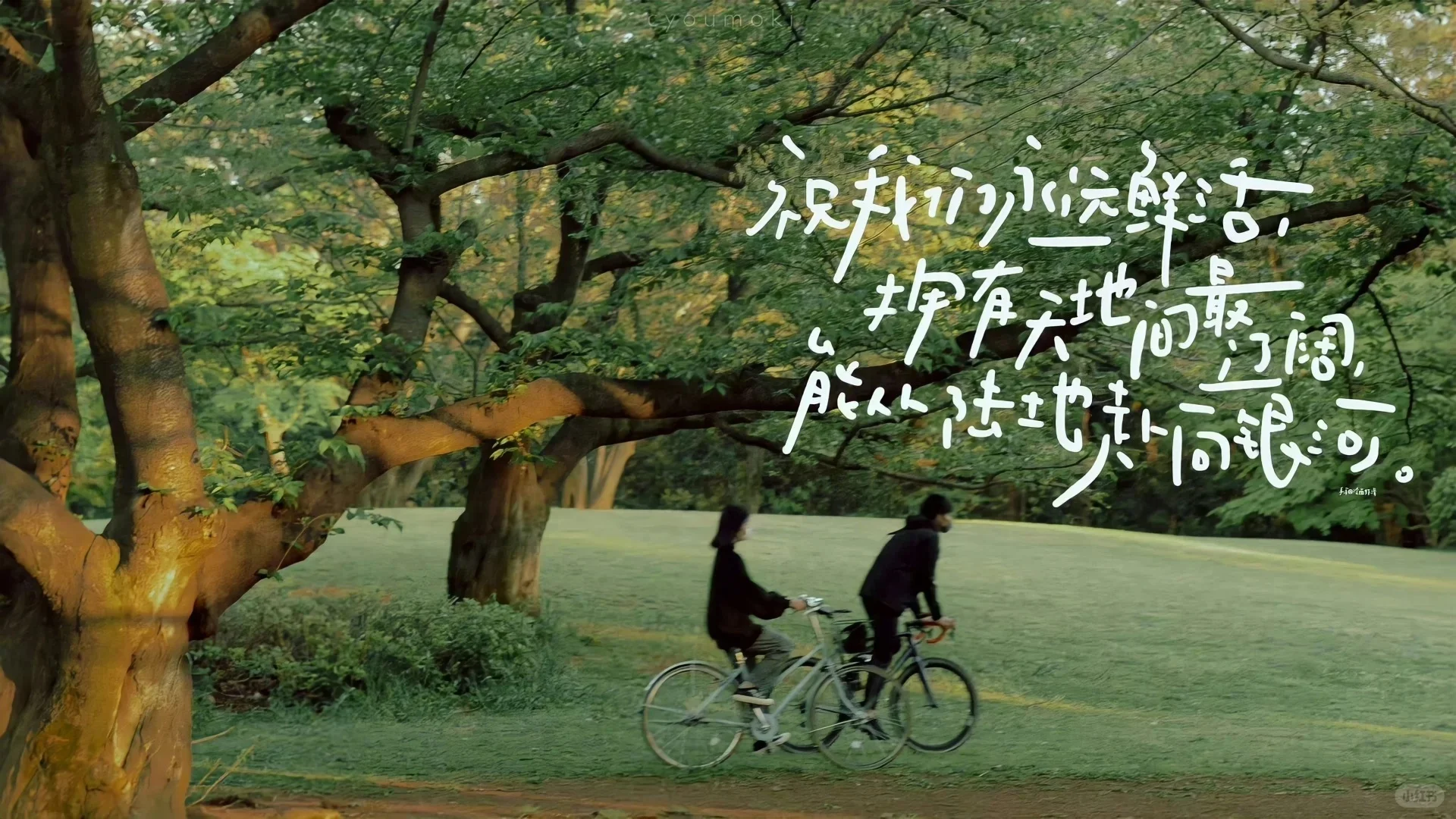 学习励志iPad电脑壁纸1️⃣