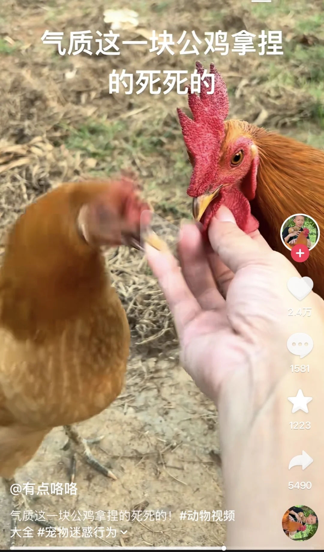 当我把他俩当乐子看而前朋友现敌人以为我