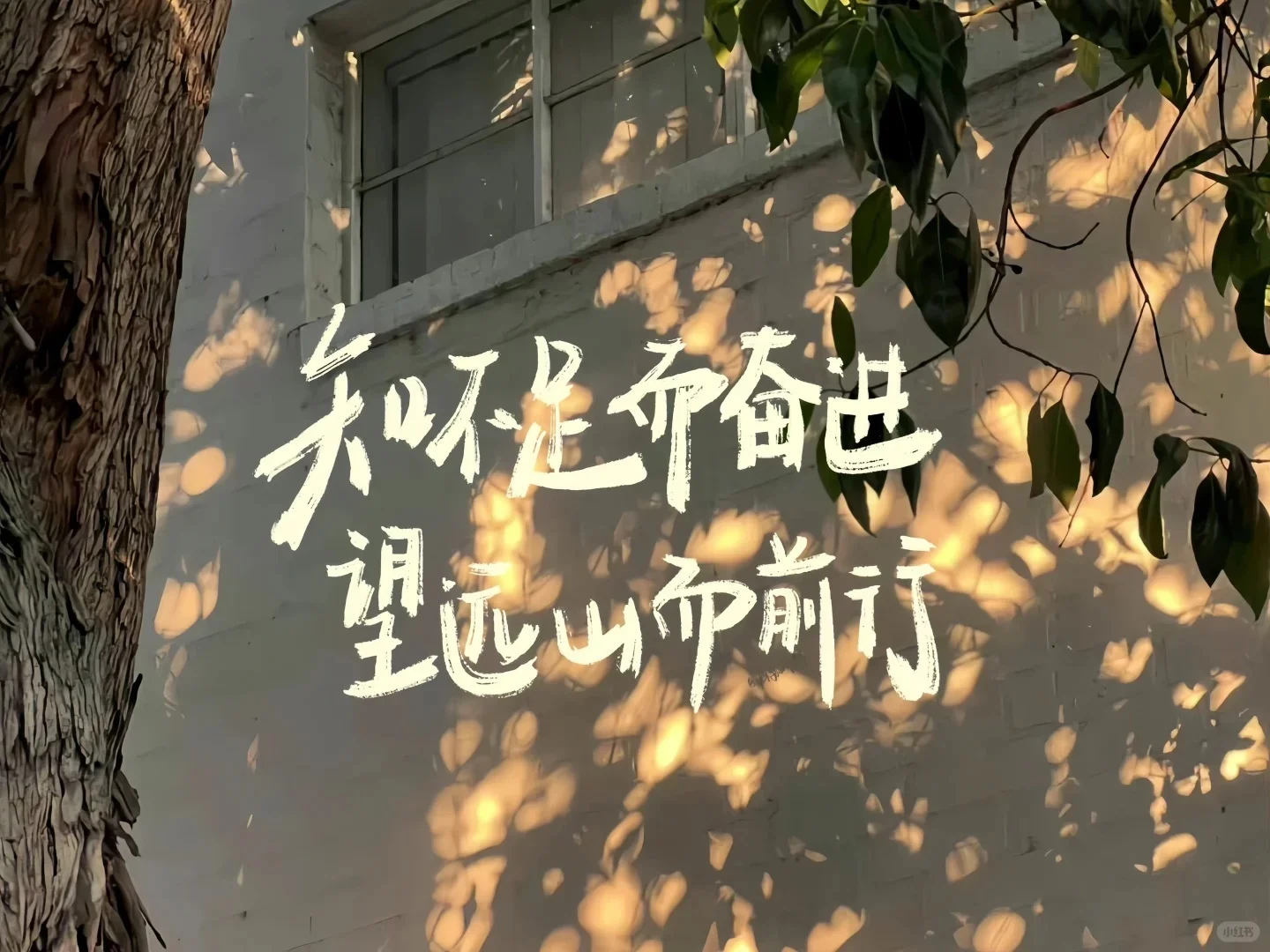 学习励志iPad电脑壁纸1️⃣