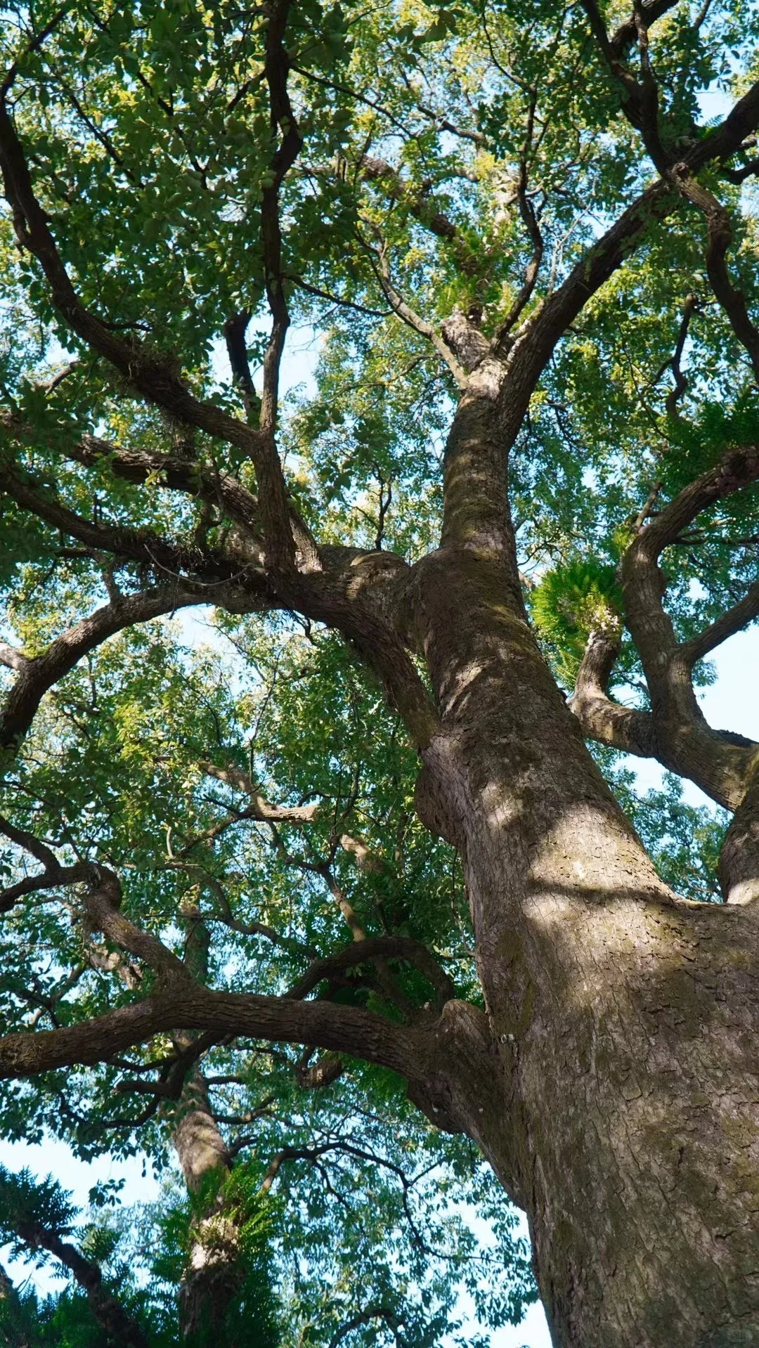 修行角度看被出gui：一切内求