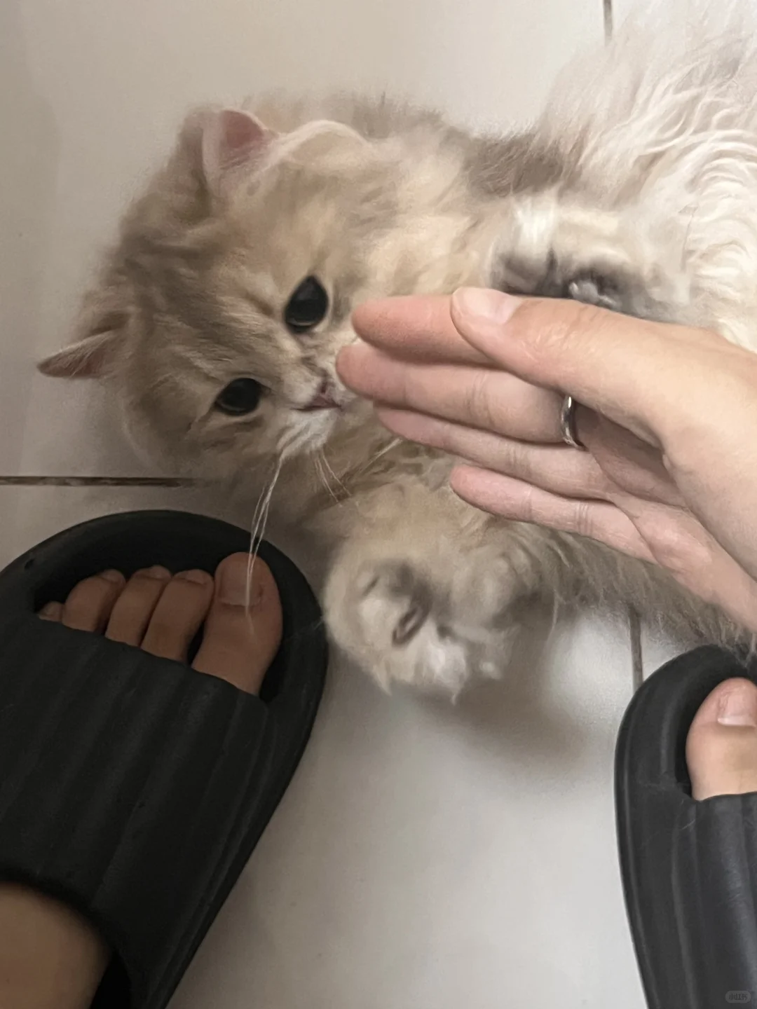 媚媚～