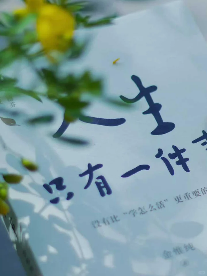 今日份，干净又温柔~