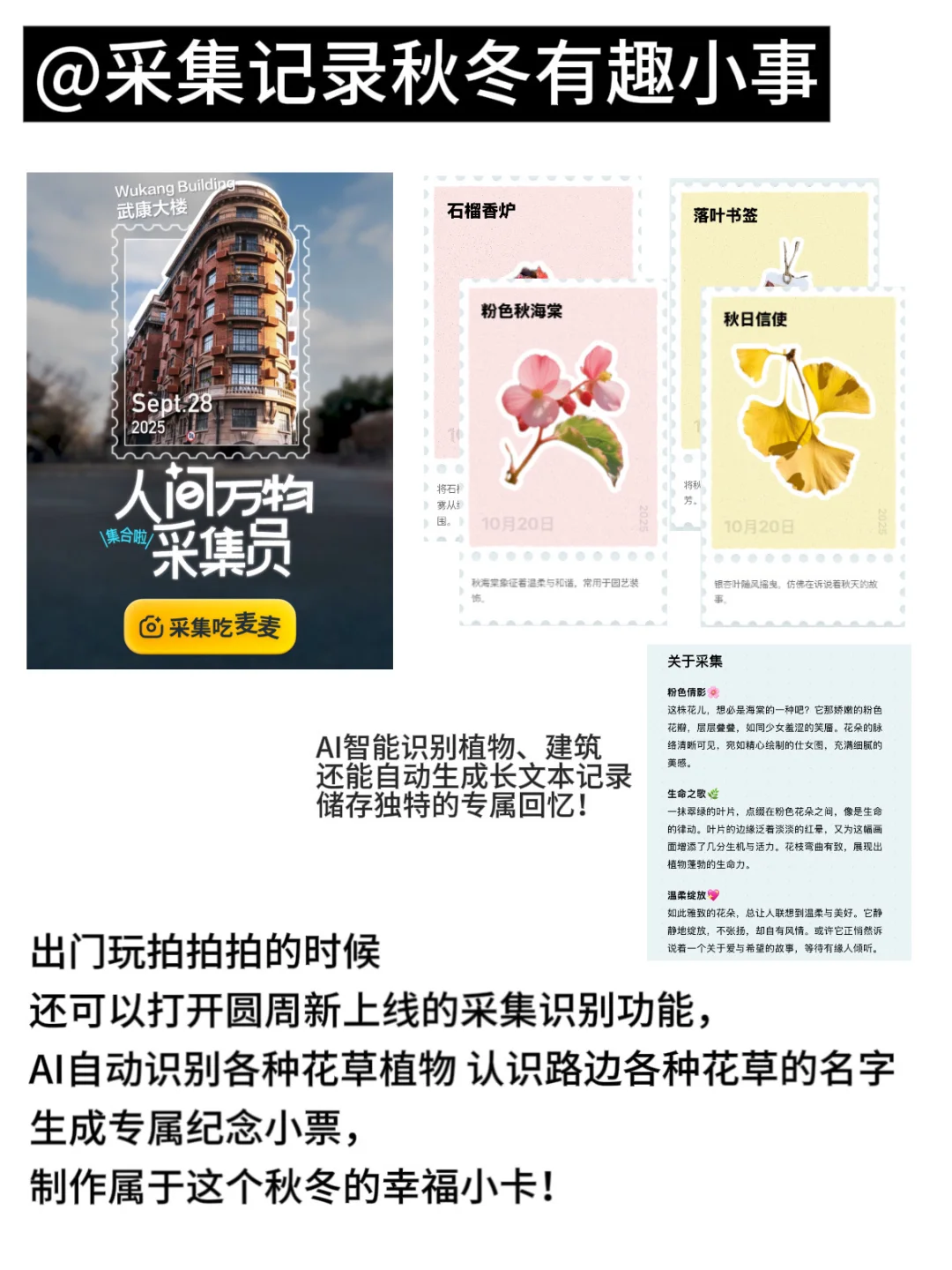 女大秋冬把自己养得很好的tips