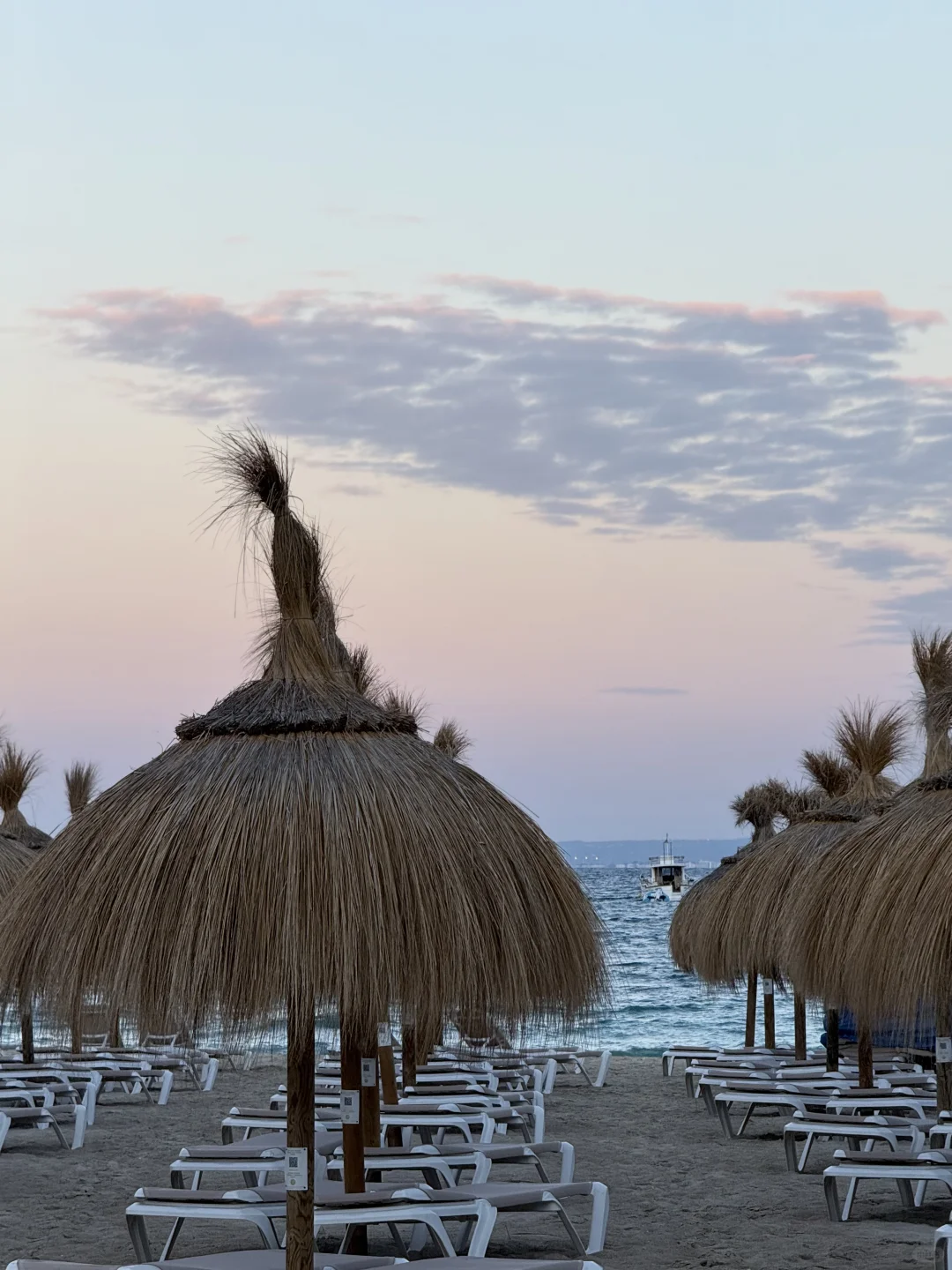 Palma自由海岛女孩🐚