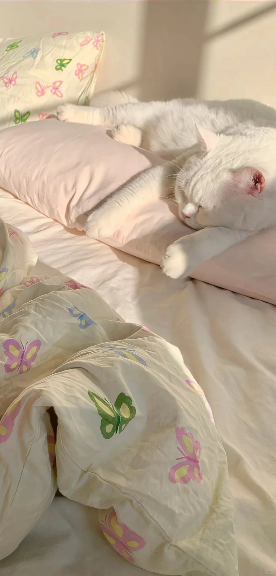 好看的壁纸分享、值得长期不换的壁纸