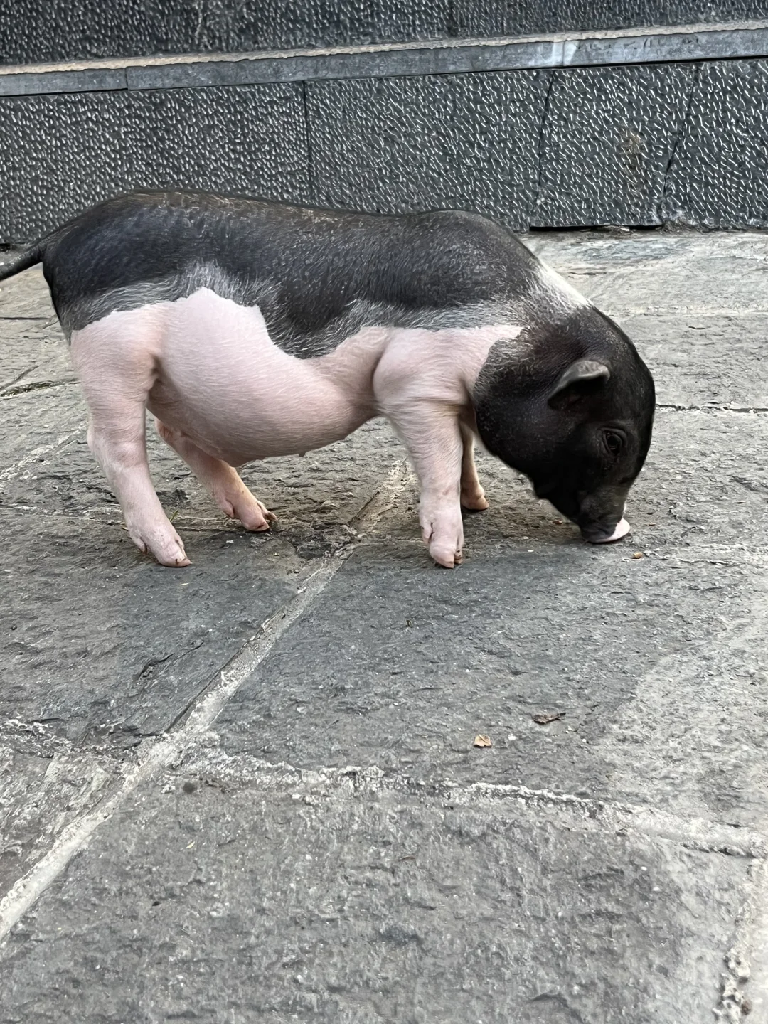 严格!避雷!美发店!“丽锦”