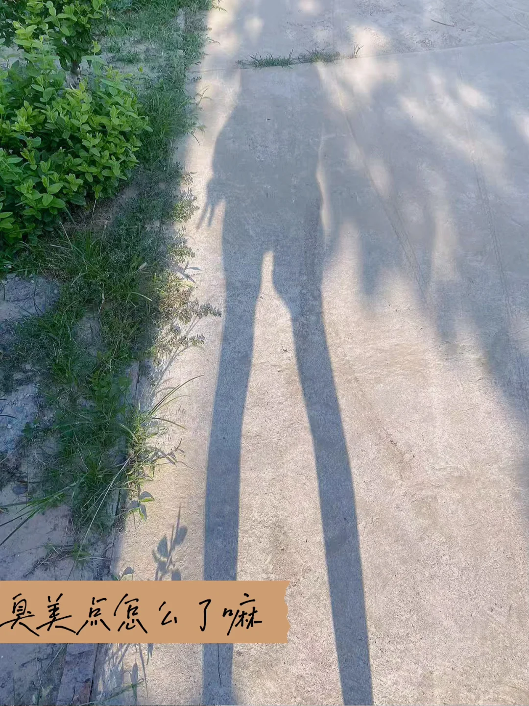 我只能祝福你认识一个比我好的人