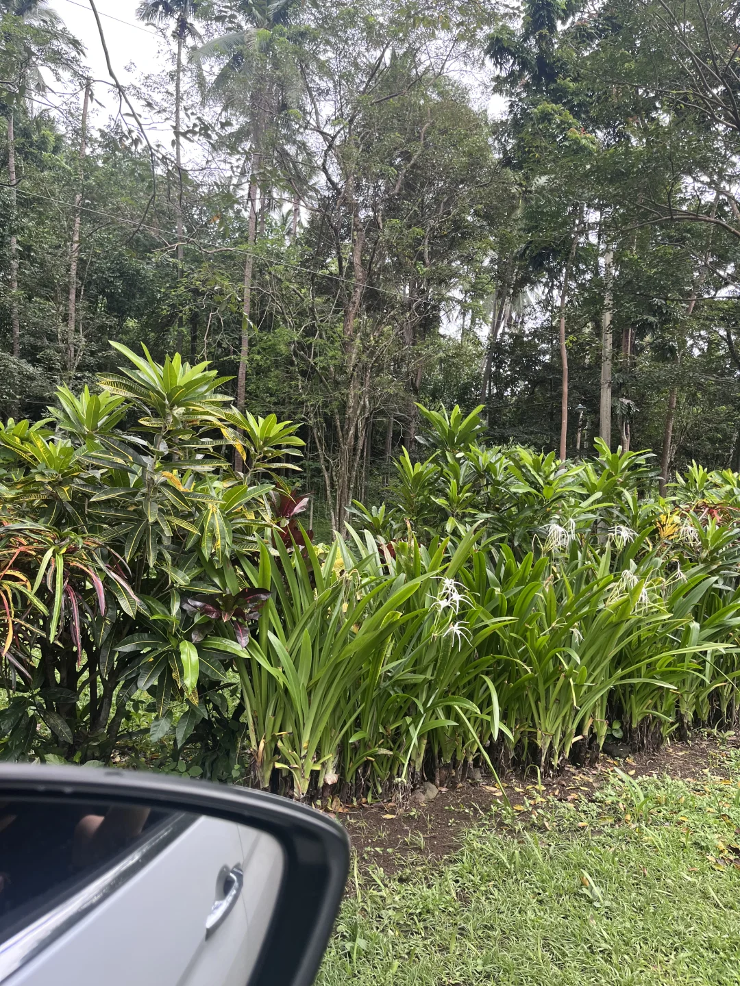 记录 45 老阿姨的外派生活,周末泡温泉去啦