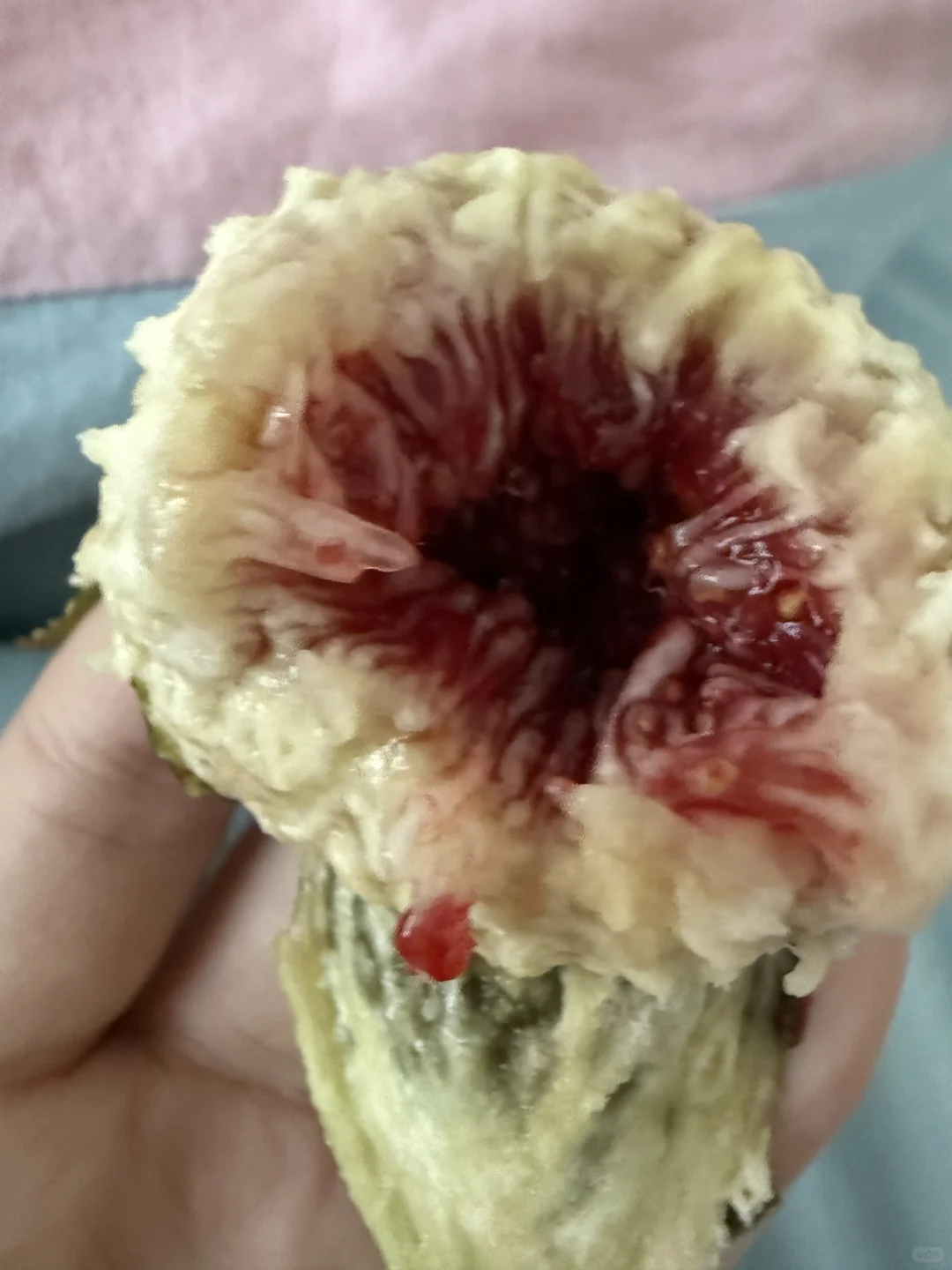 超绝悠耕，真的好好吃