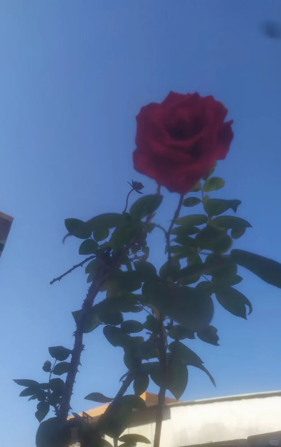 女找男,反正是小号,索性直接点……